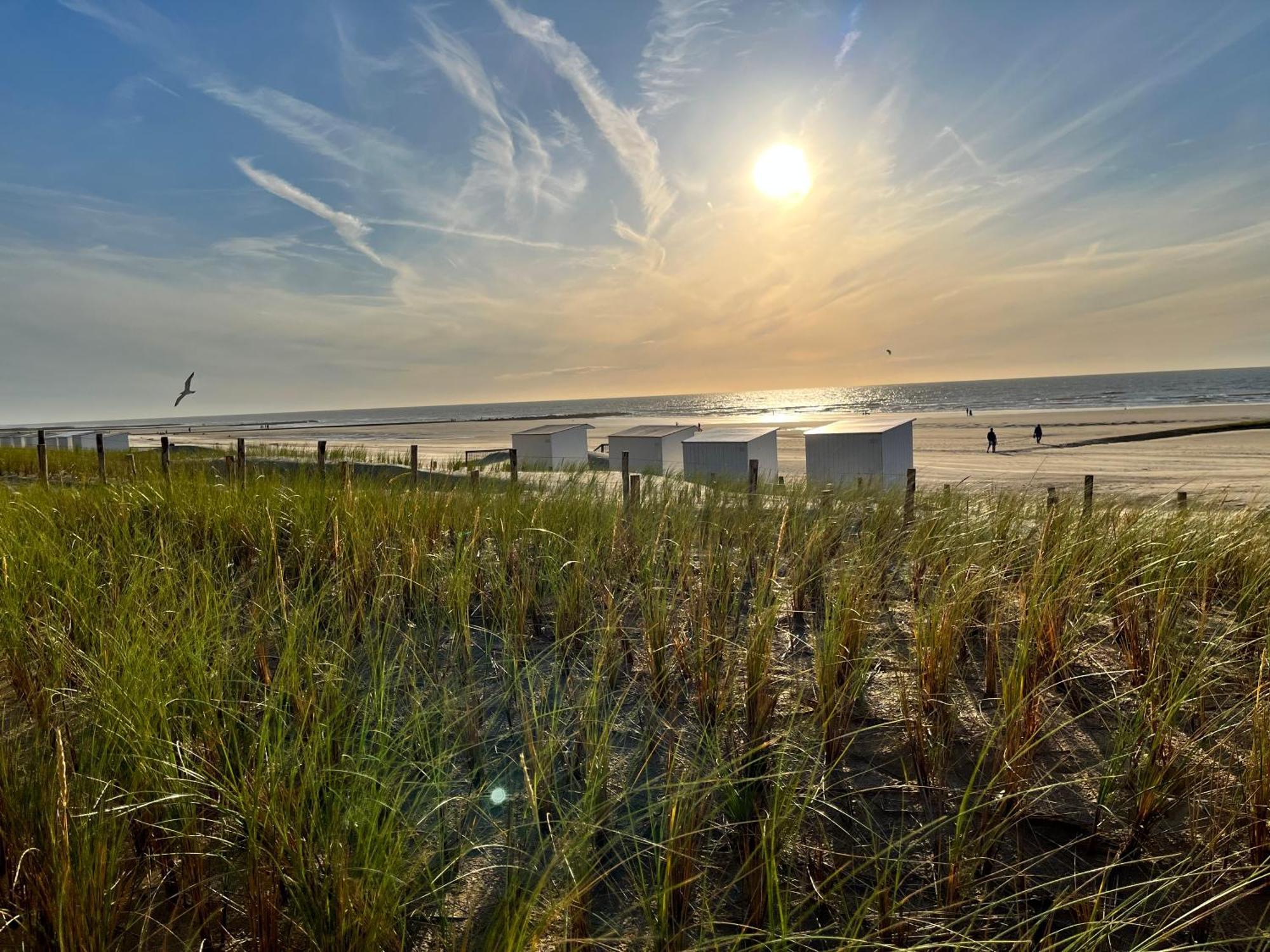 Beach Bungalow Green Villa Middelkerke Kültér fotó